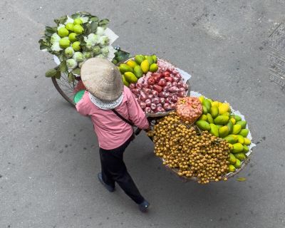 Marchands fruits légumes Trung Dong