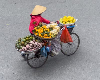 Marchands fruits légumes Trung Dong