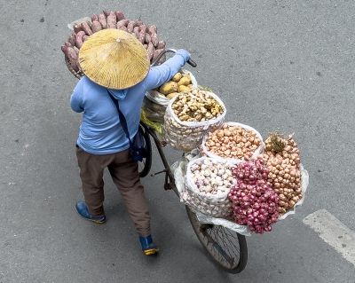 Marchands fruits légumes Trung Dong