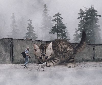 Chats géants d'Andrey Shcherbak