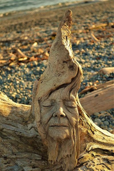 Les sculptures poétiques en bois flotté de l'artiste Debra Bernier